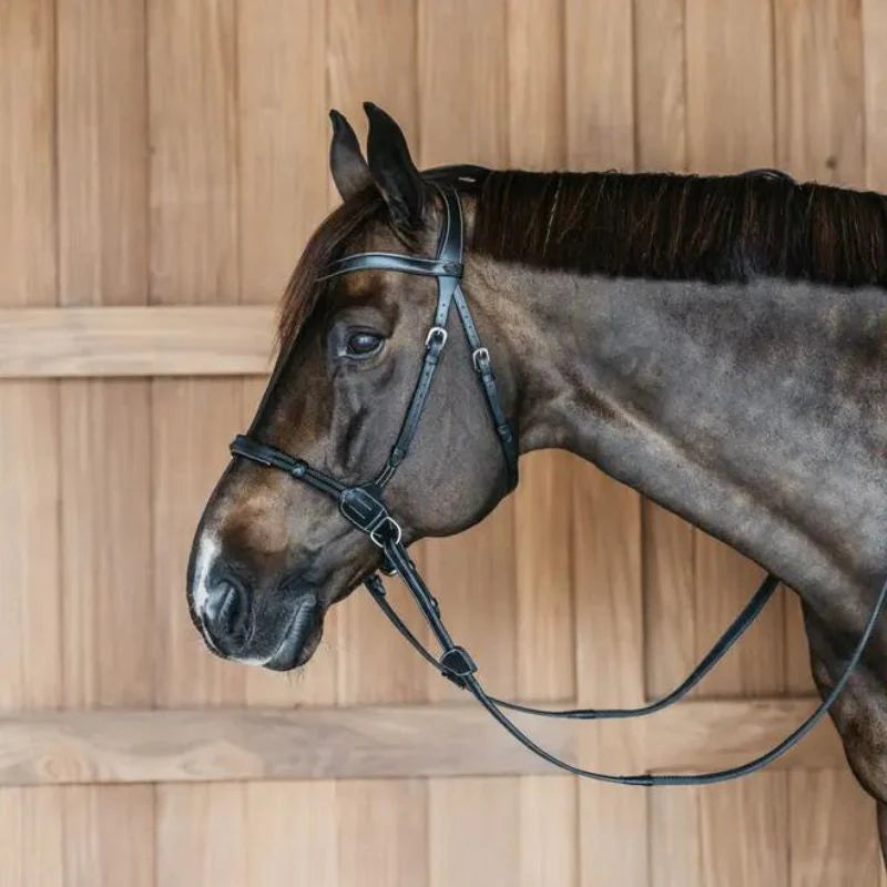 New Bitless Bridle from Dy'On