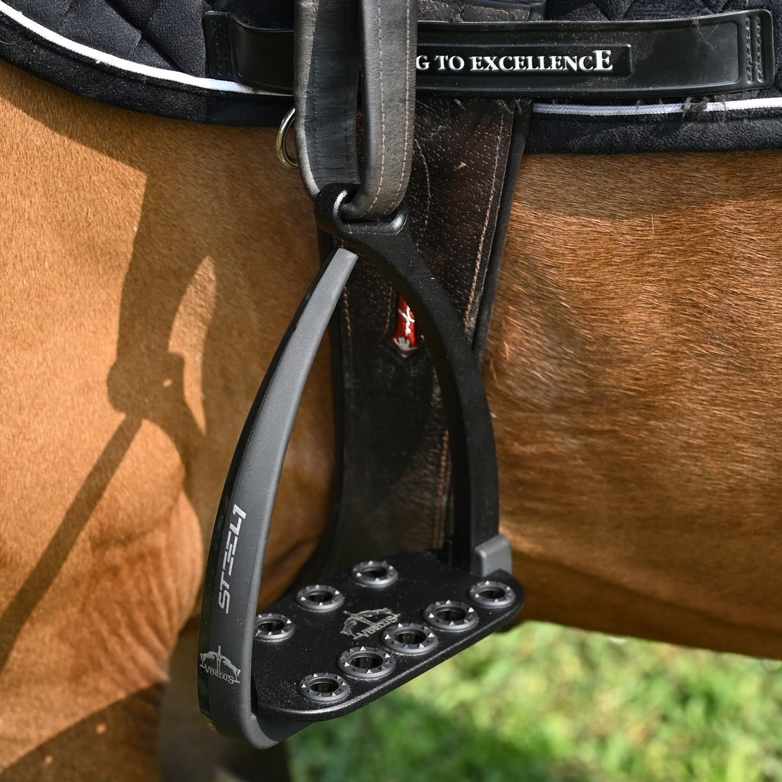 New Steel1 Dark Stirrup