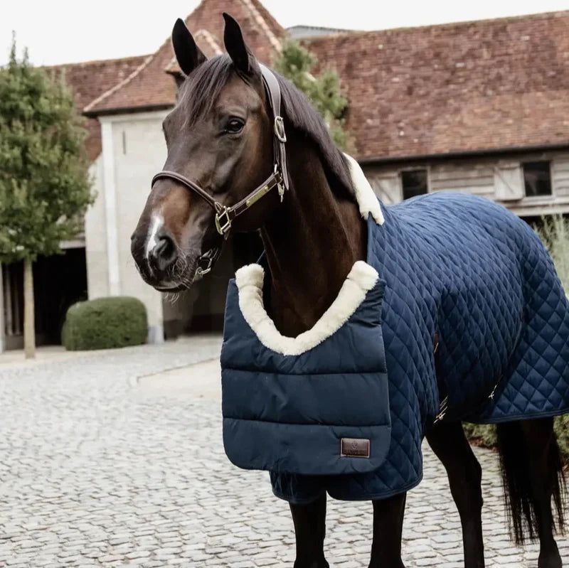 New Arrivals For Your Horse
