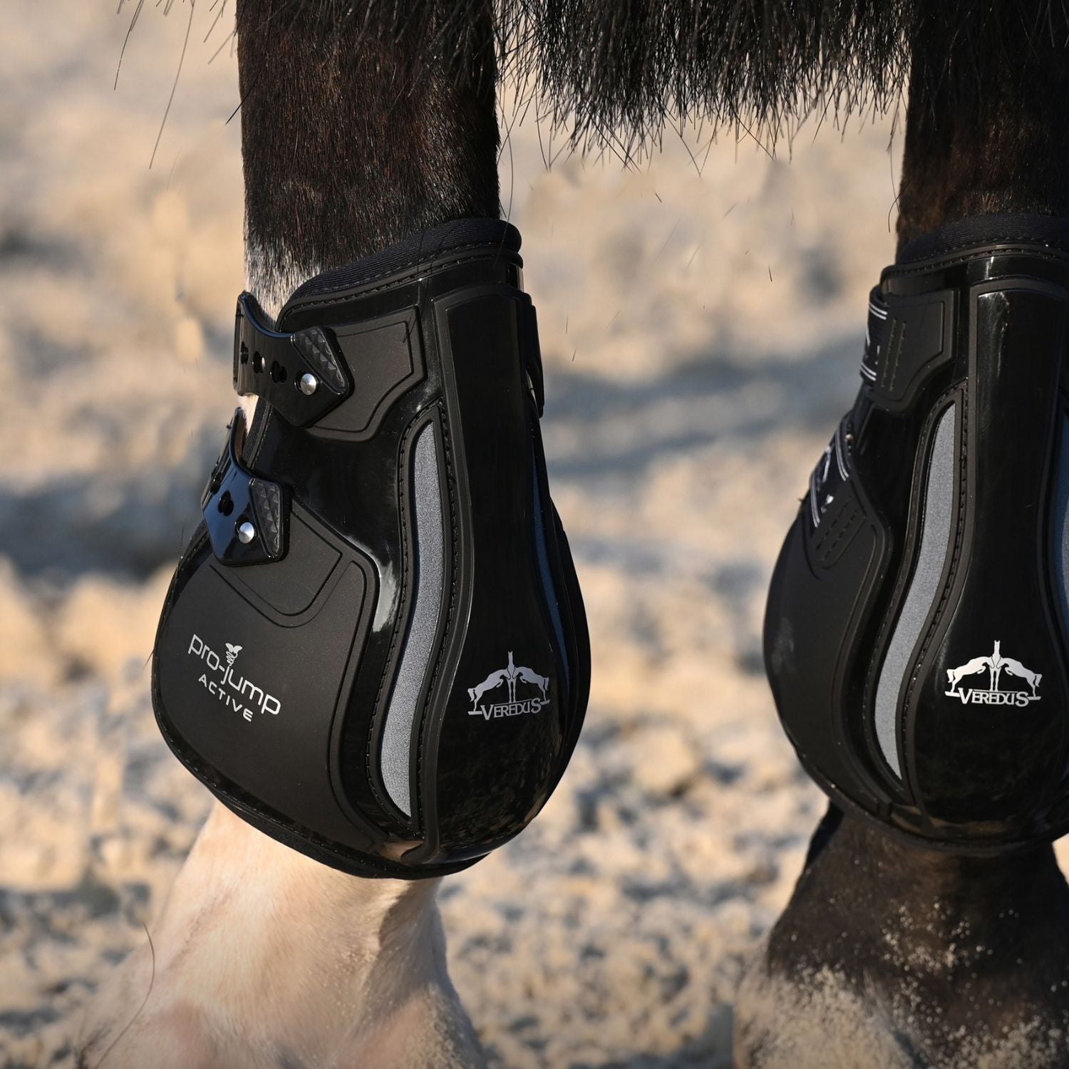 NEW VEREDUS PRO JUMP ACTIVE