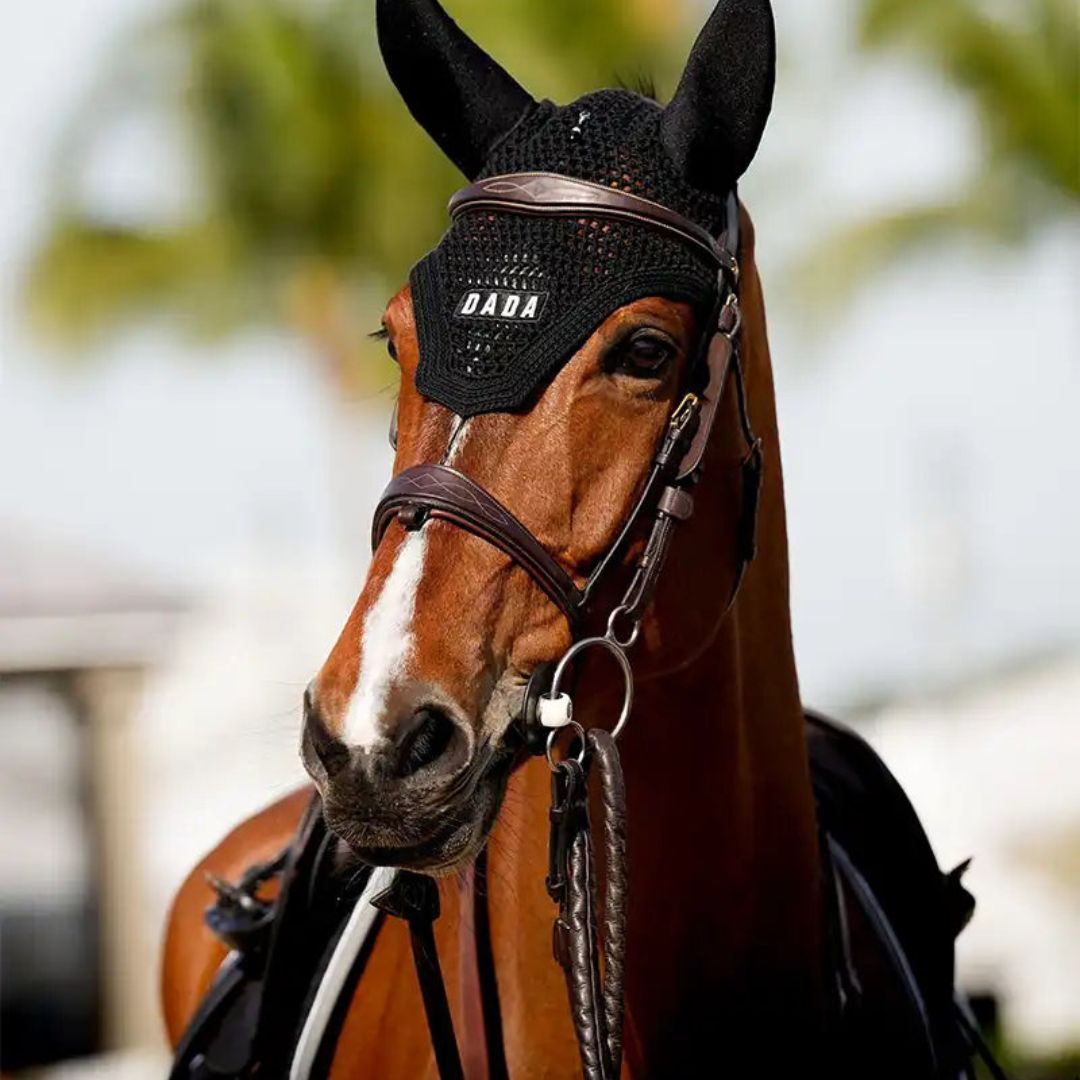 DADA SPORT F|W 25 HAS ARRIVED