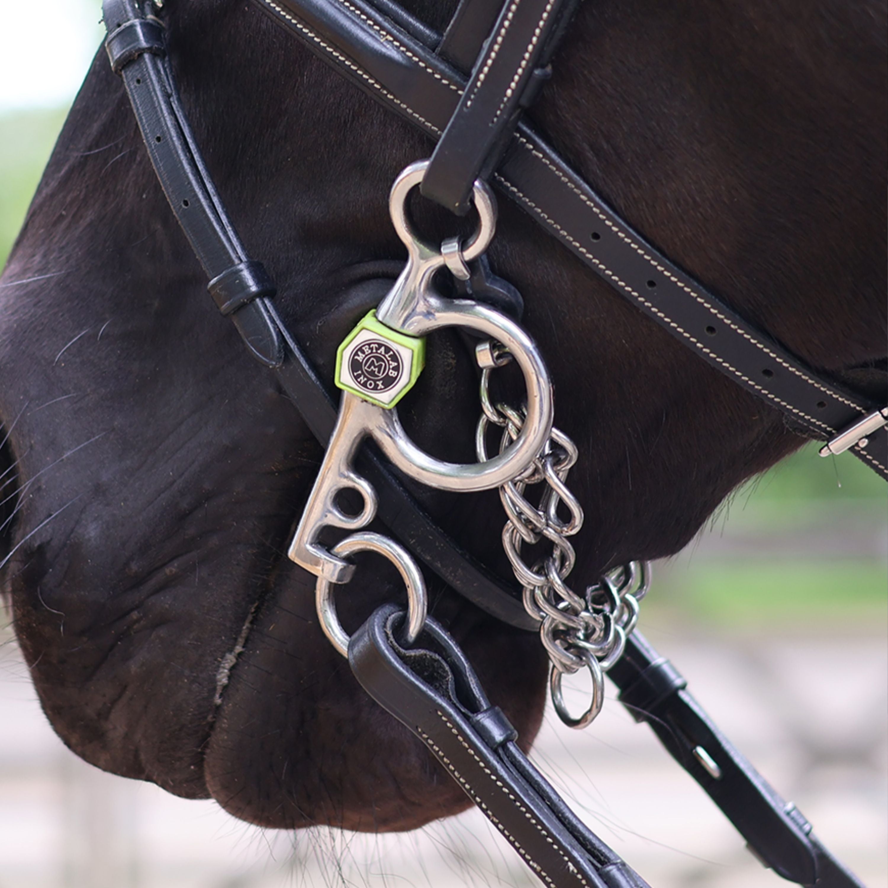 We have Bits for Every Horse