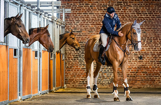 Best Belgian Brand - Dy'On