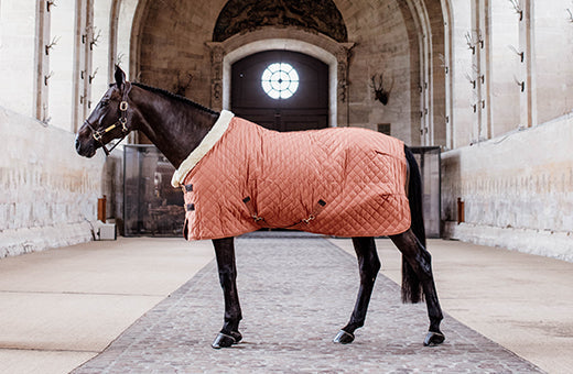 20% Off Kentucky Rugs - Limited Stock