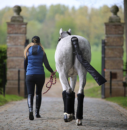 Travel safely - and in style