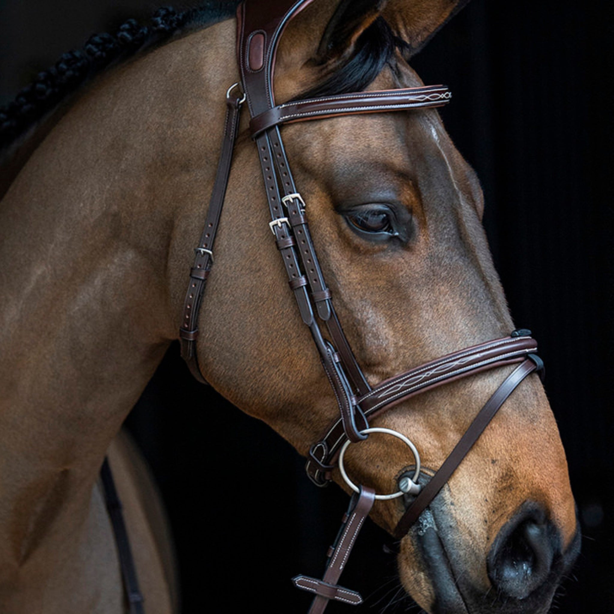 Equiline Saddlery & Leatherwork