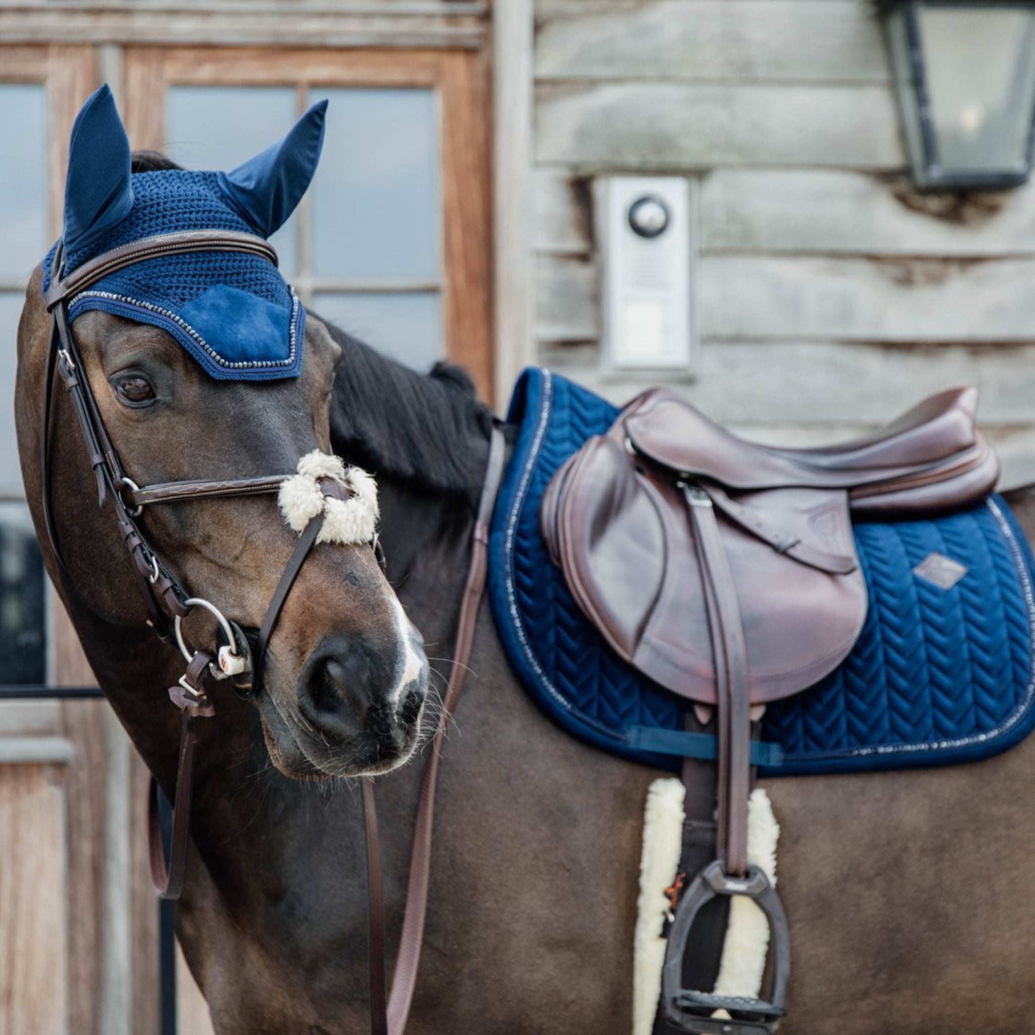 Kentucky Fly Hoods & Saddle Pads