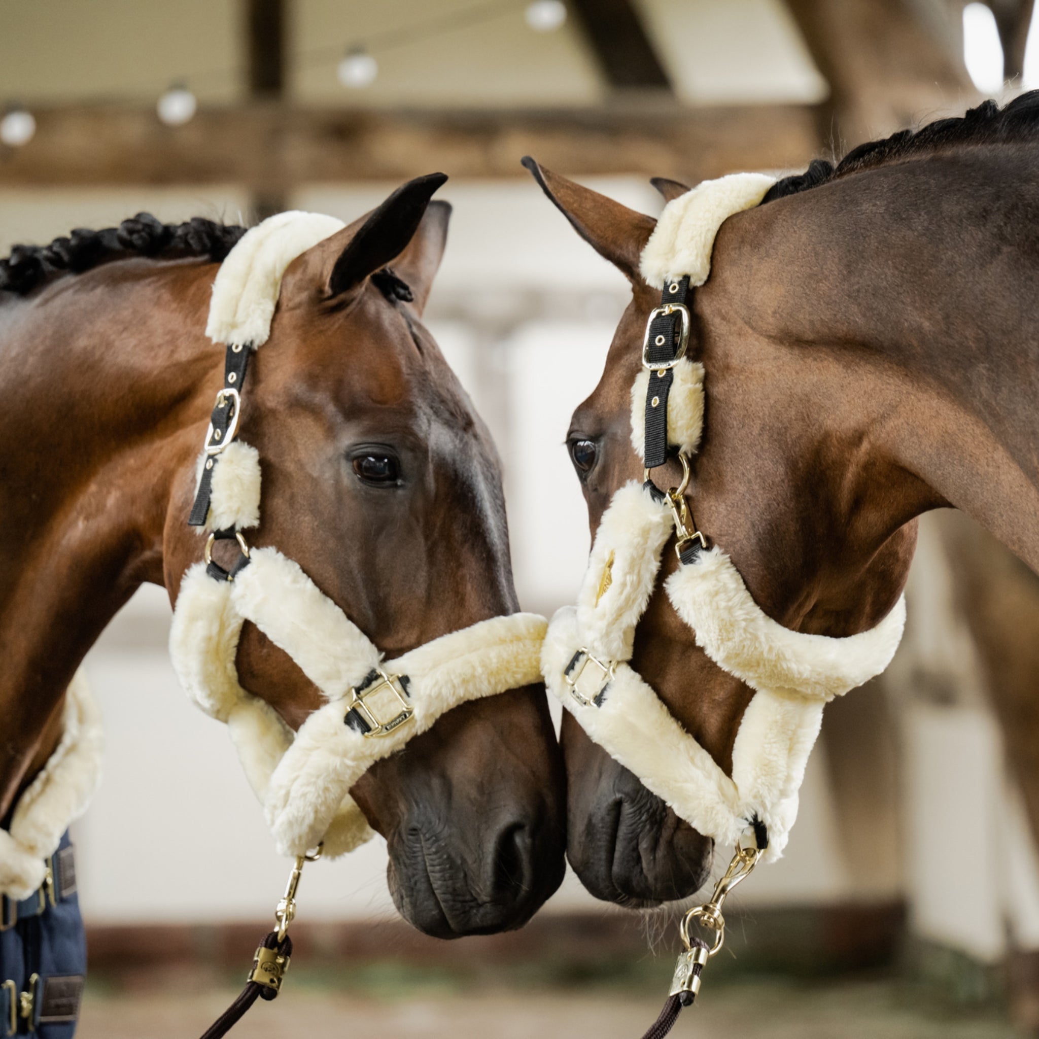 Kentucky Sheepskin Collection