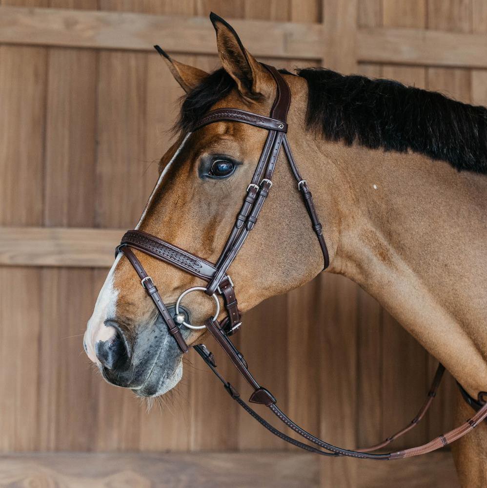 New English Collection Plaited Flash Noseband Bridle with Pull Back