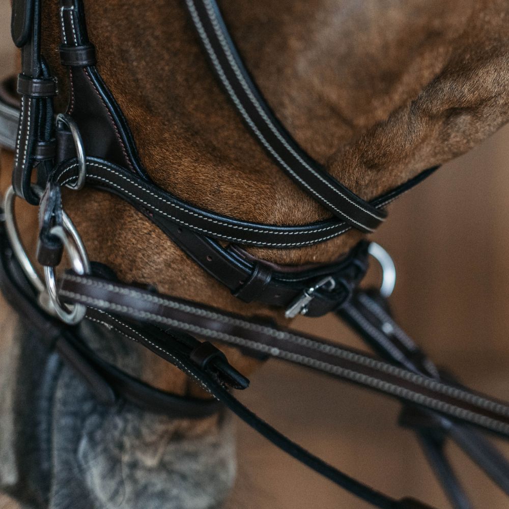 Working Collection Motion Bridle