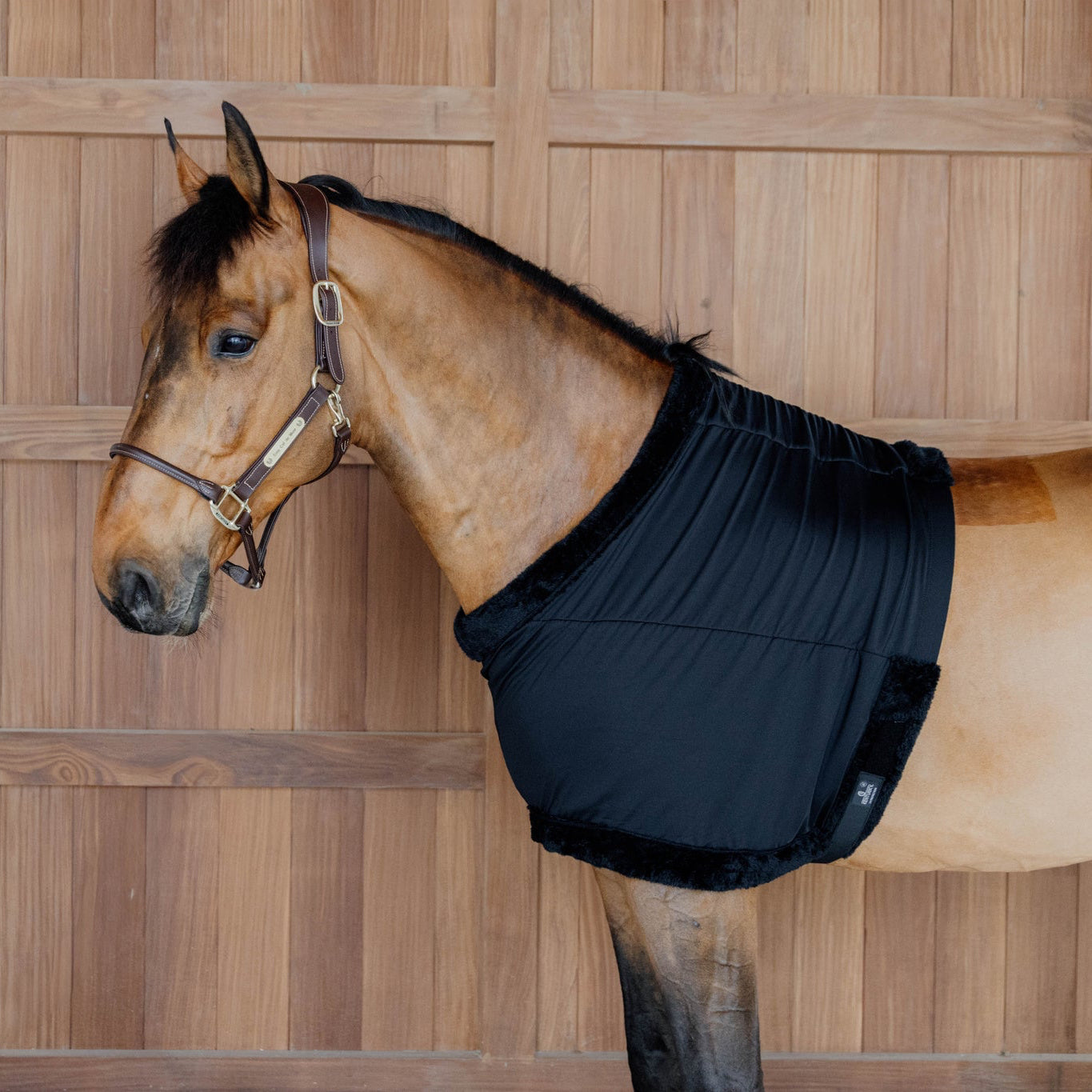 Chest Protection | Black