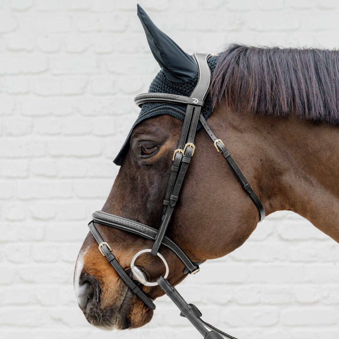 D Collection Plaited Flash Noseband Bridle