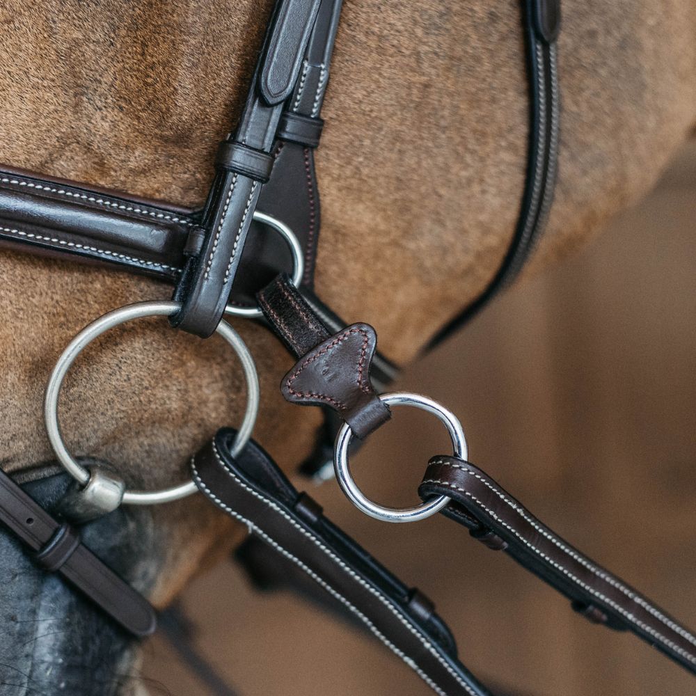 Working Collection Motion Bridle