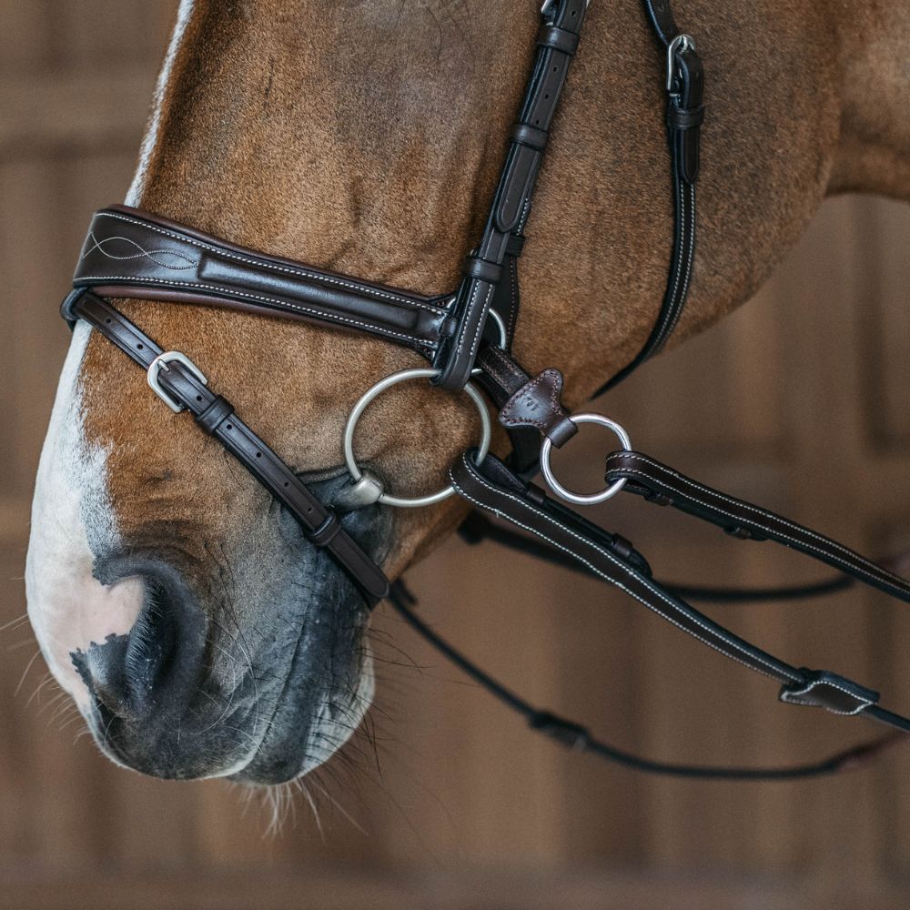 Working Collection Motion Bridle
