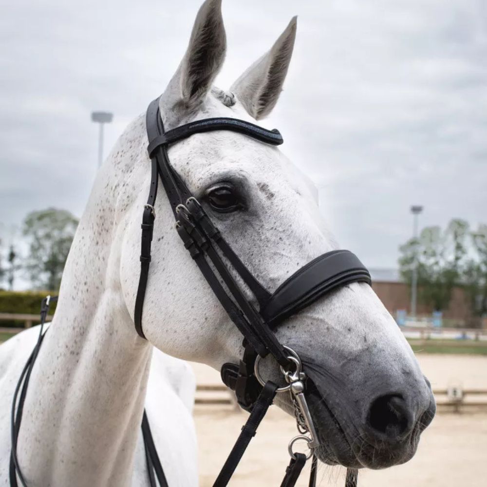 Crystal Makila Full Bridle