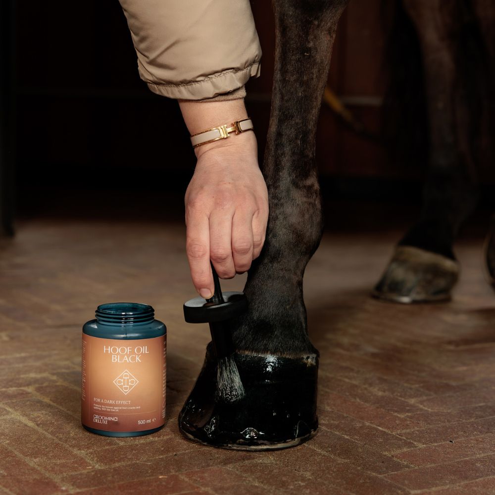 Hoof Oil Shine | Black