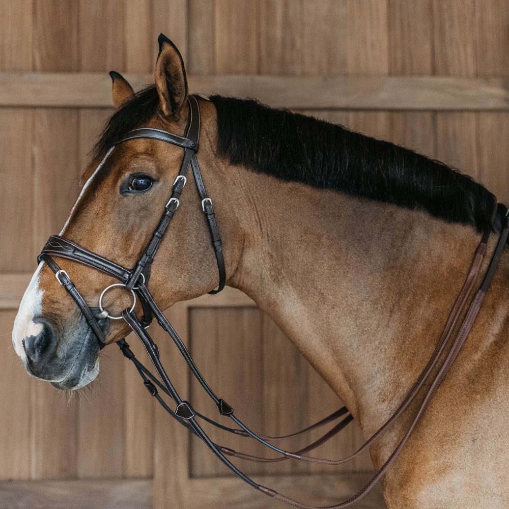 Working Collection Motion Bridle