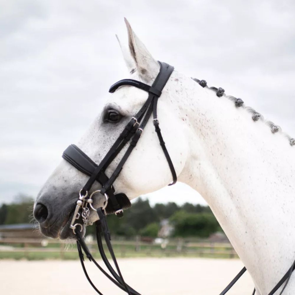 Crystal Makila Full Bridle