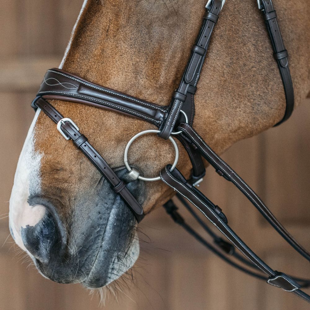 Working Collection Motion Bridle