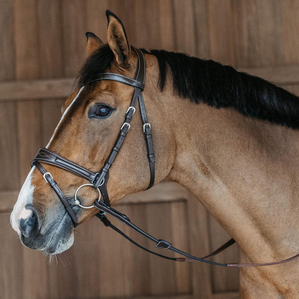 Working Collection Motion Bridle