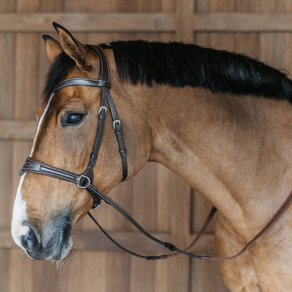 Working Collection Motion Bridle