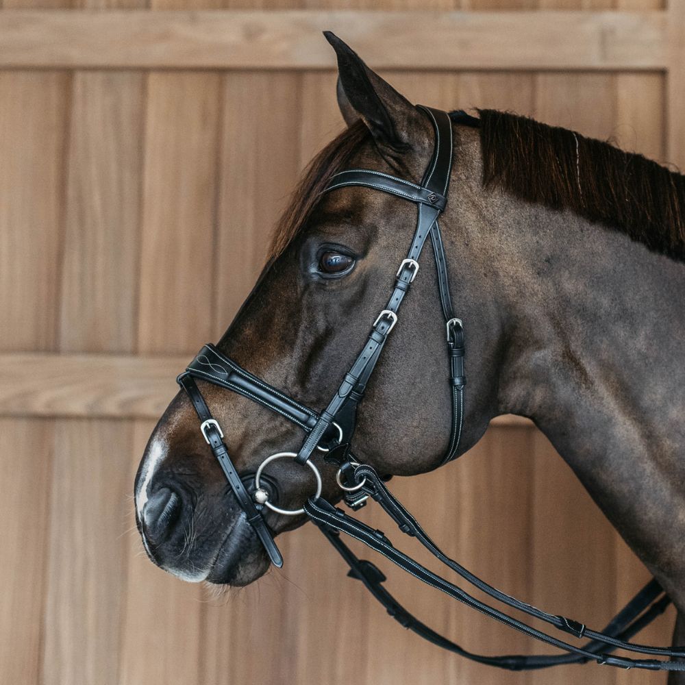 Working Collection Motion Bridle