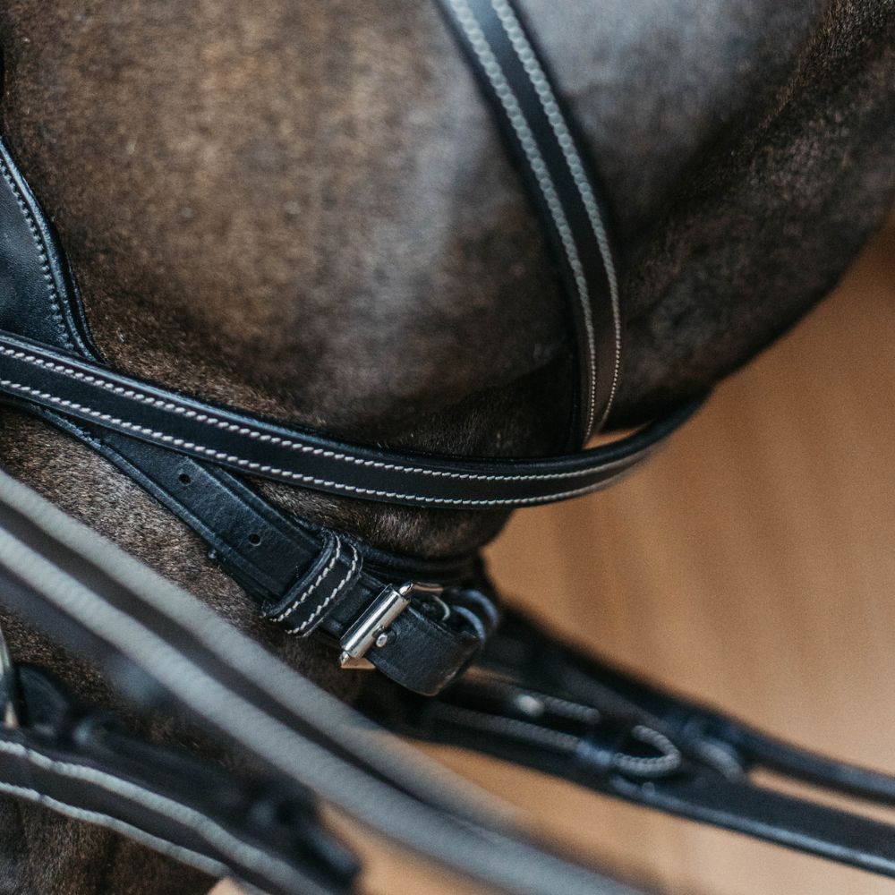 Working Collection Motion Bridle