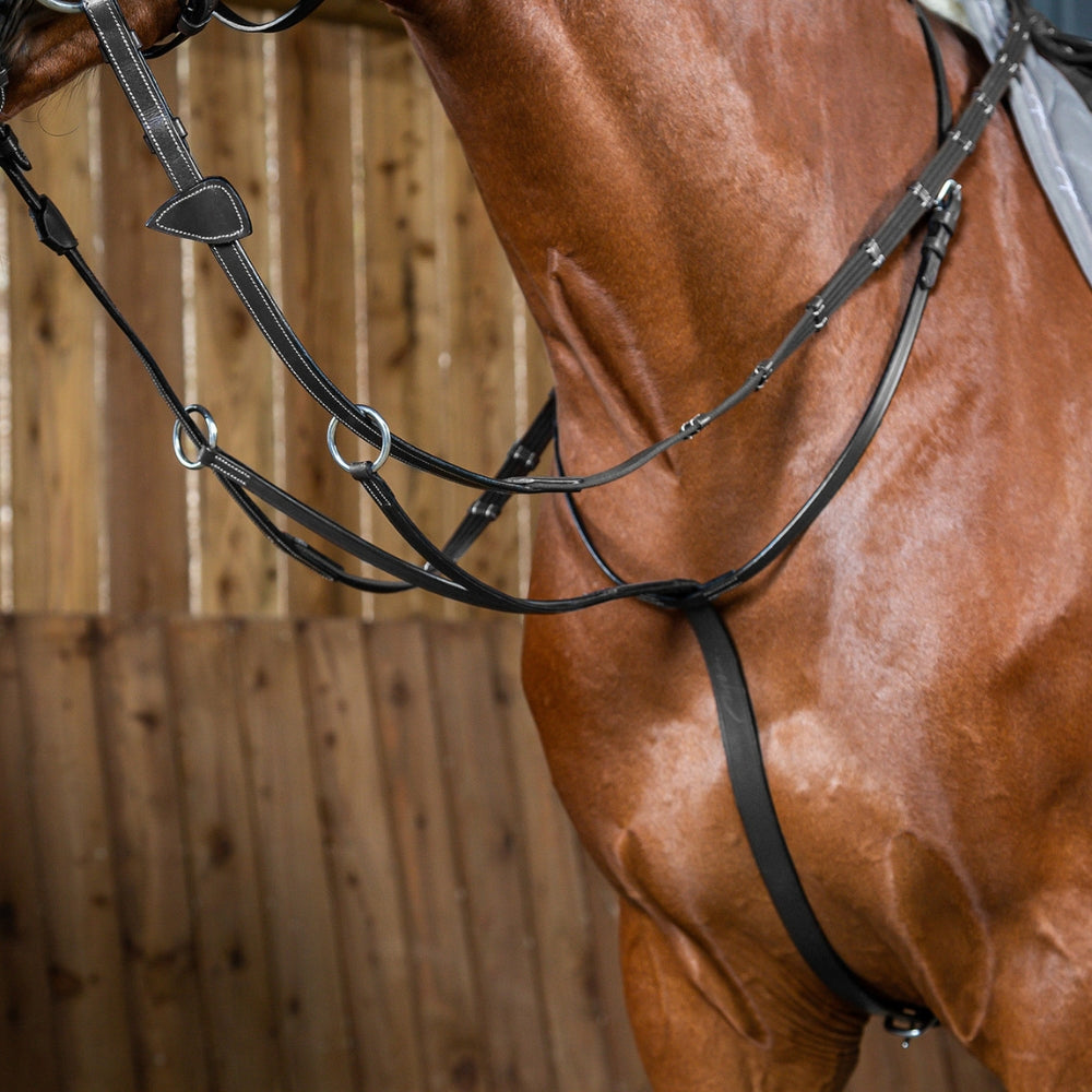 Working Collection Running Martingale