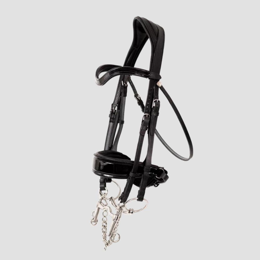 Glossy Makila Full Bridle