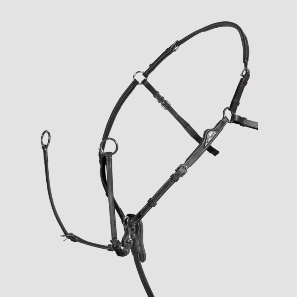 Breastplate With Removable Martingale | Black