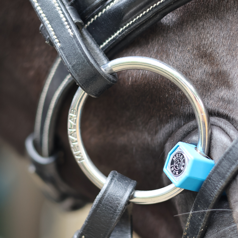 Flexible Mullen Loose Ring Snaffle