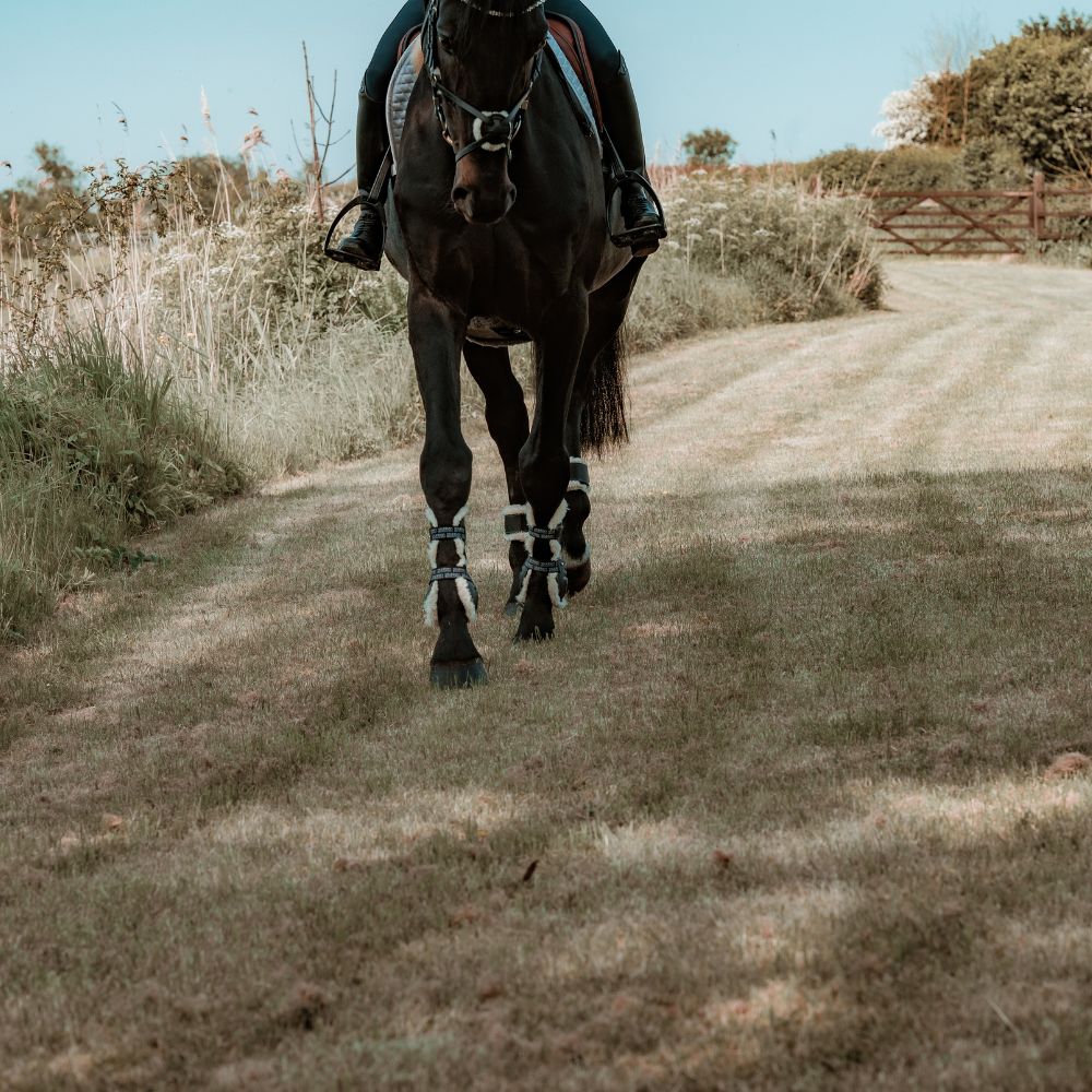 Hybrid Fleece Tendon Boots | Black