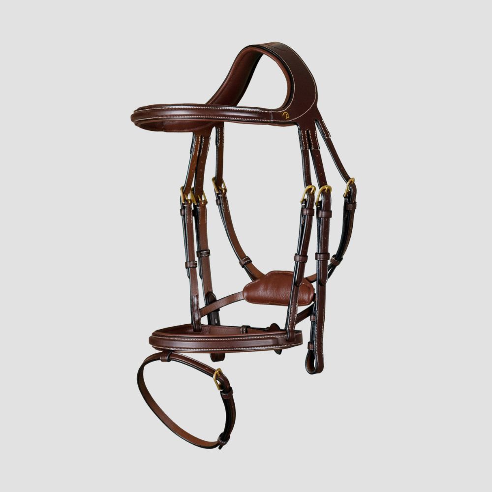 D Collection Difference Bridle