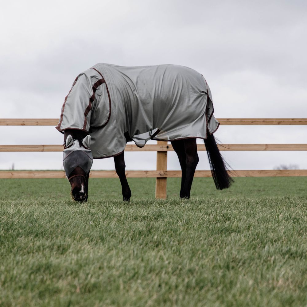 Mesh Fly Rug Classic With Neck