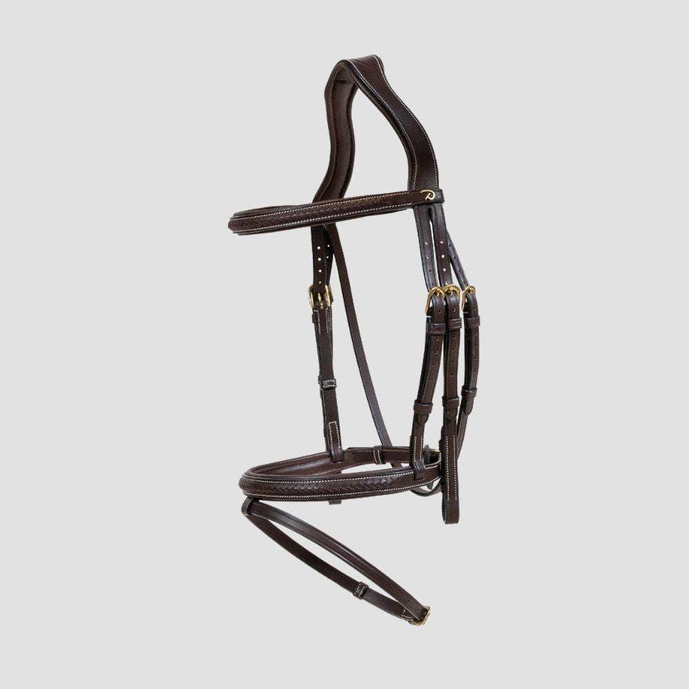 D Collection Plaited Flash Noseband Bridle