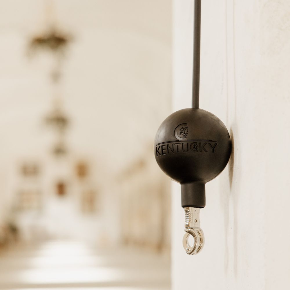 Silicone Horse Box Lead & Cross Ties | Black