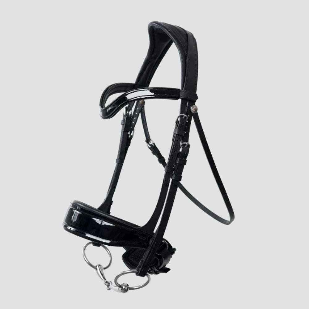 Glossy Makila Bridle