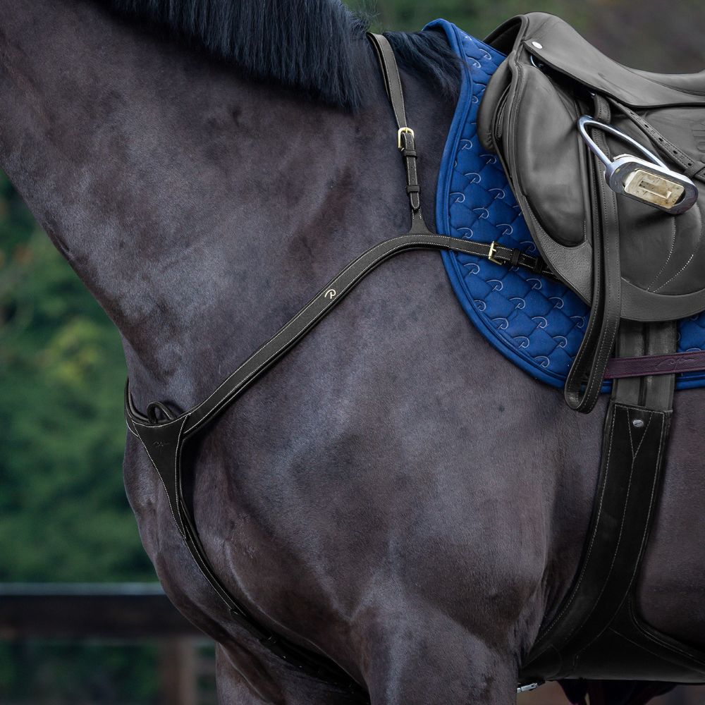 D Collection Long Bridge Breastplate