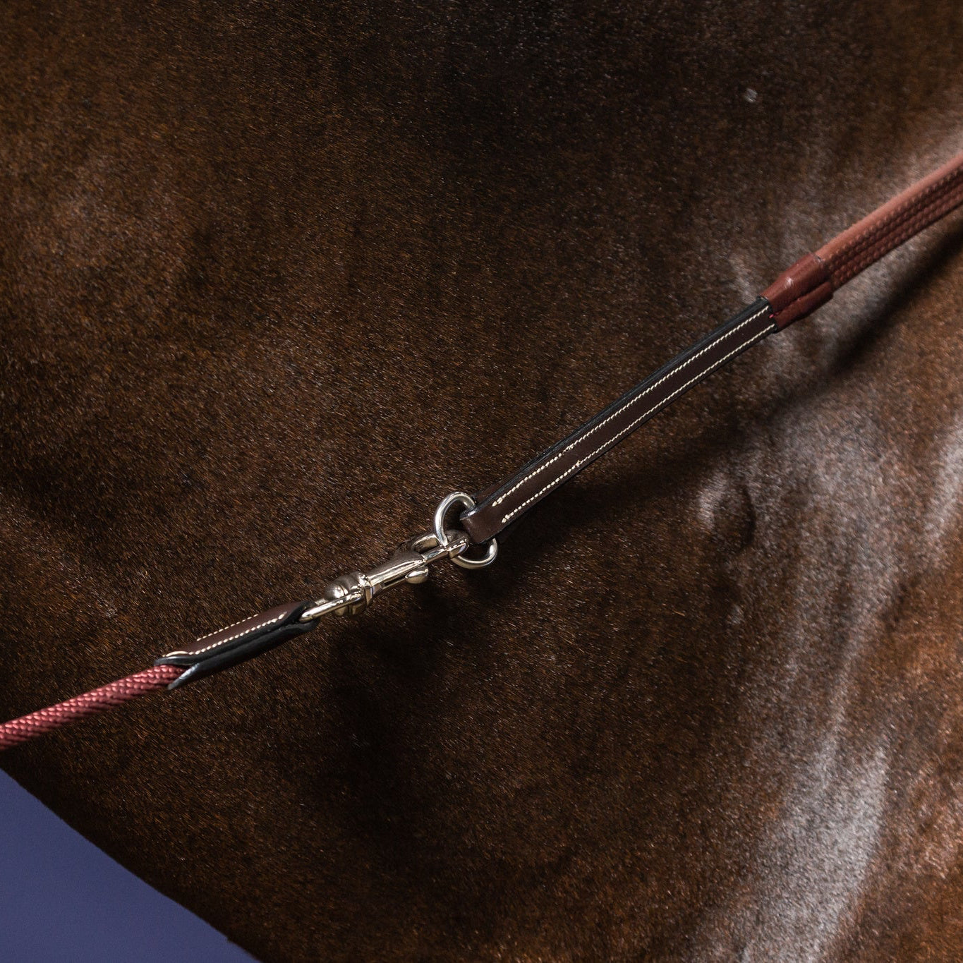 Working Collection Gogue Reins