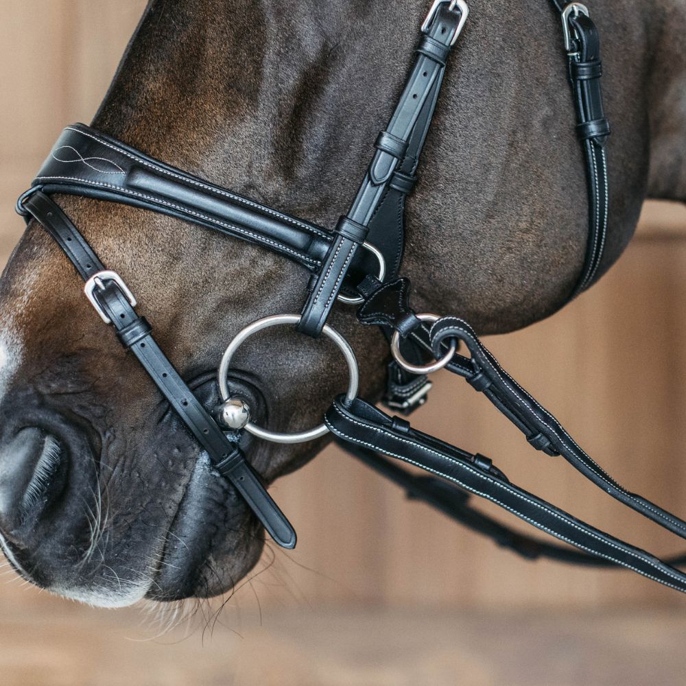Working Collection Motion Bridle