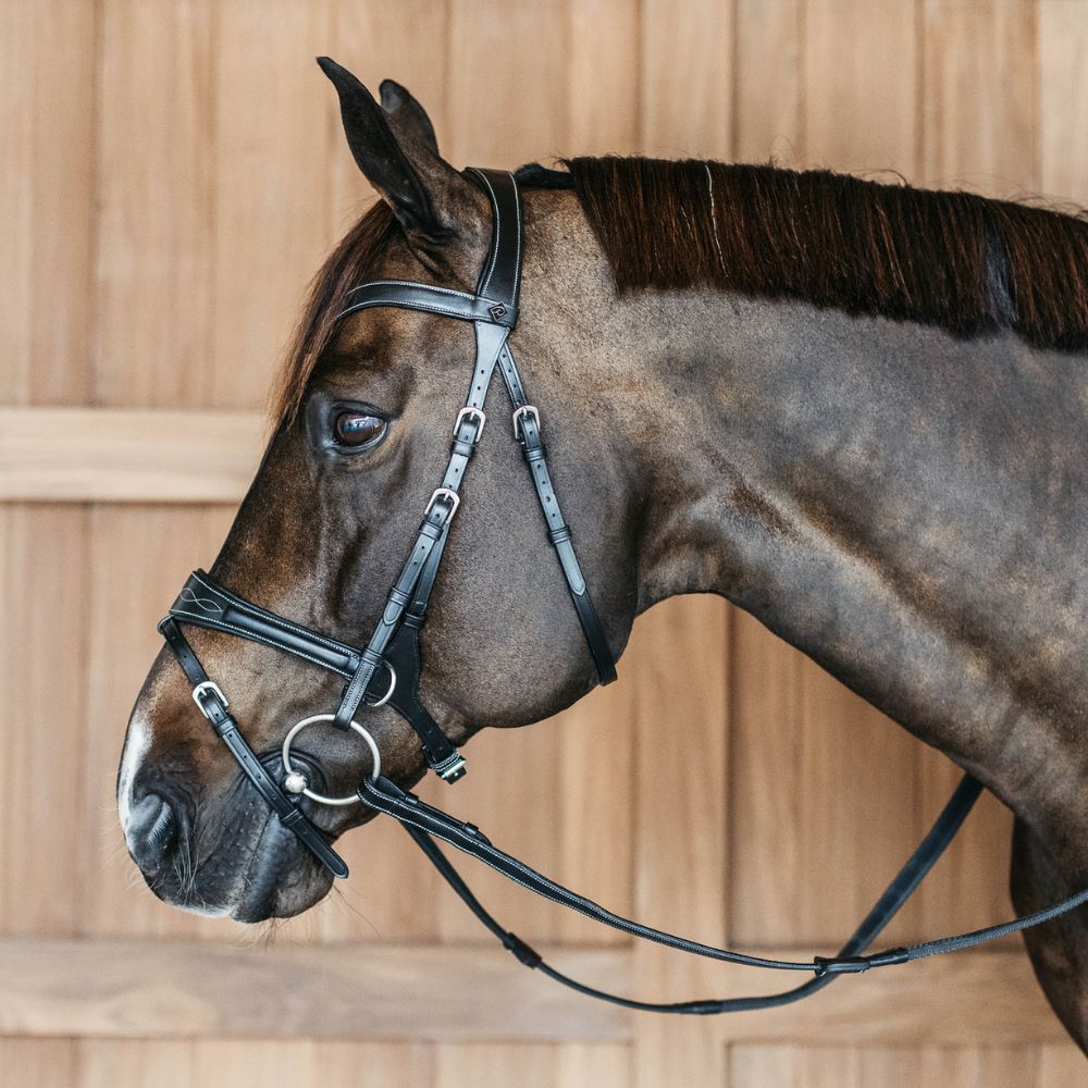 Working Collection Motion Bridle