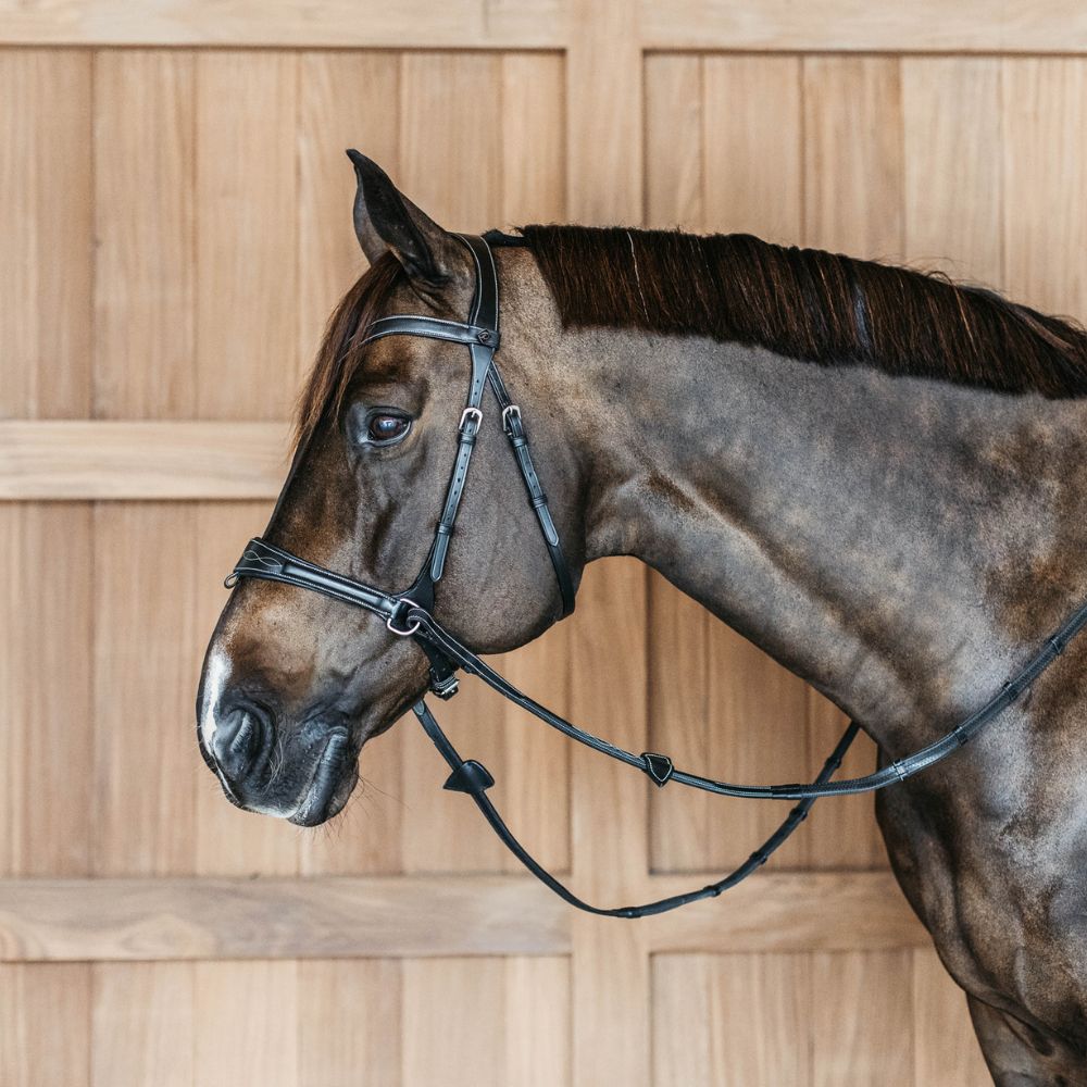 Working Collection Motion Bridle