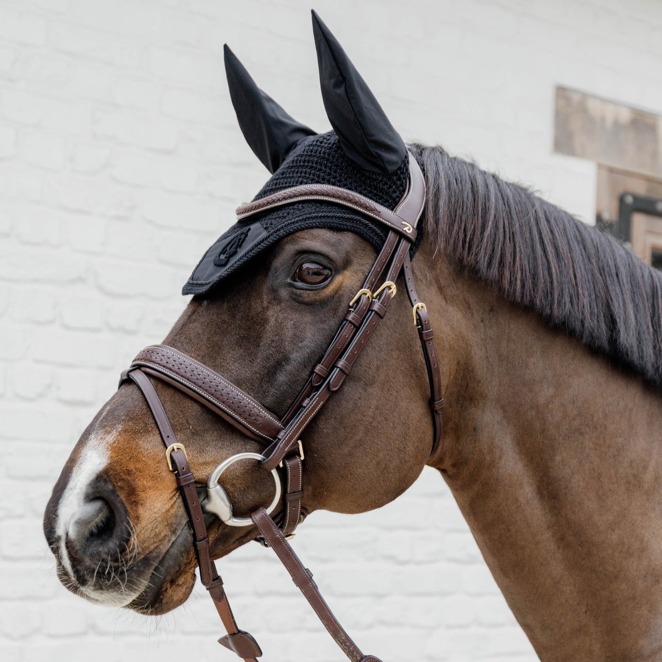 D Collection Plaited Flash Noseband Bridle with Pull Back