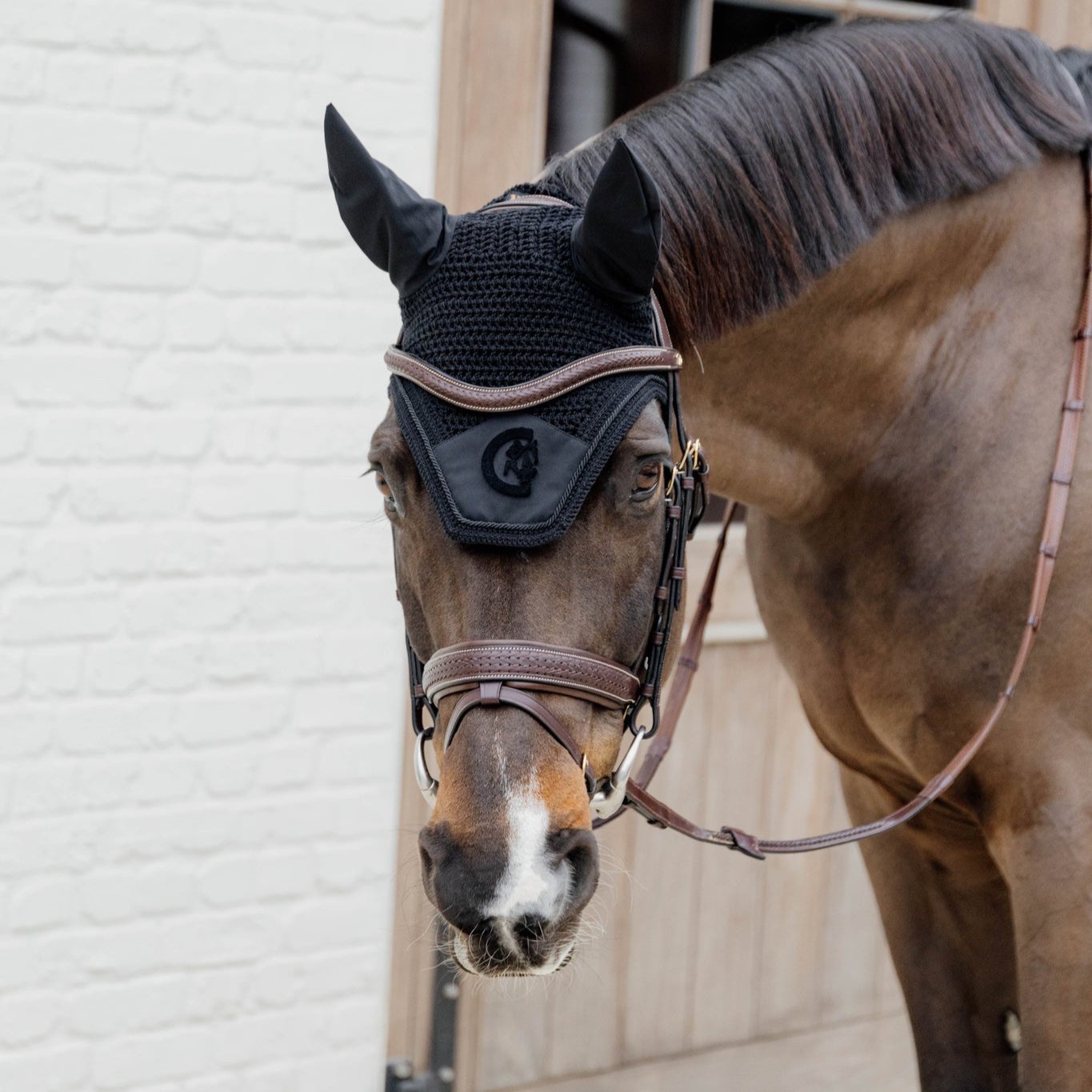 D Collection Plaited Flash Noseband Bridle with Pull Back