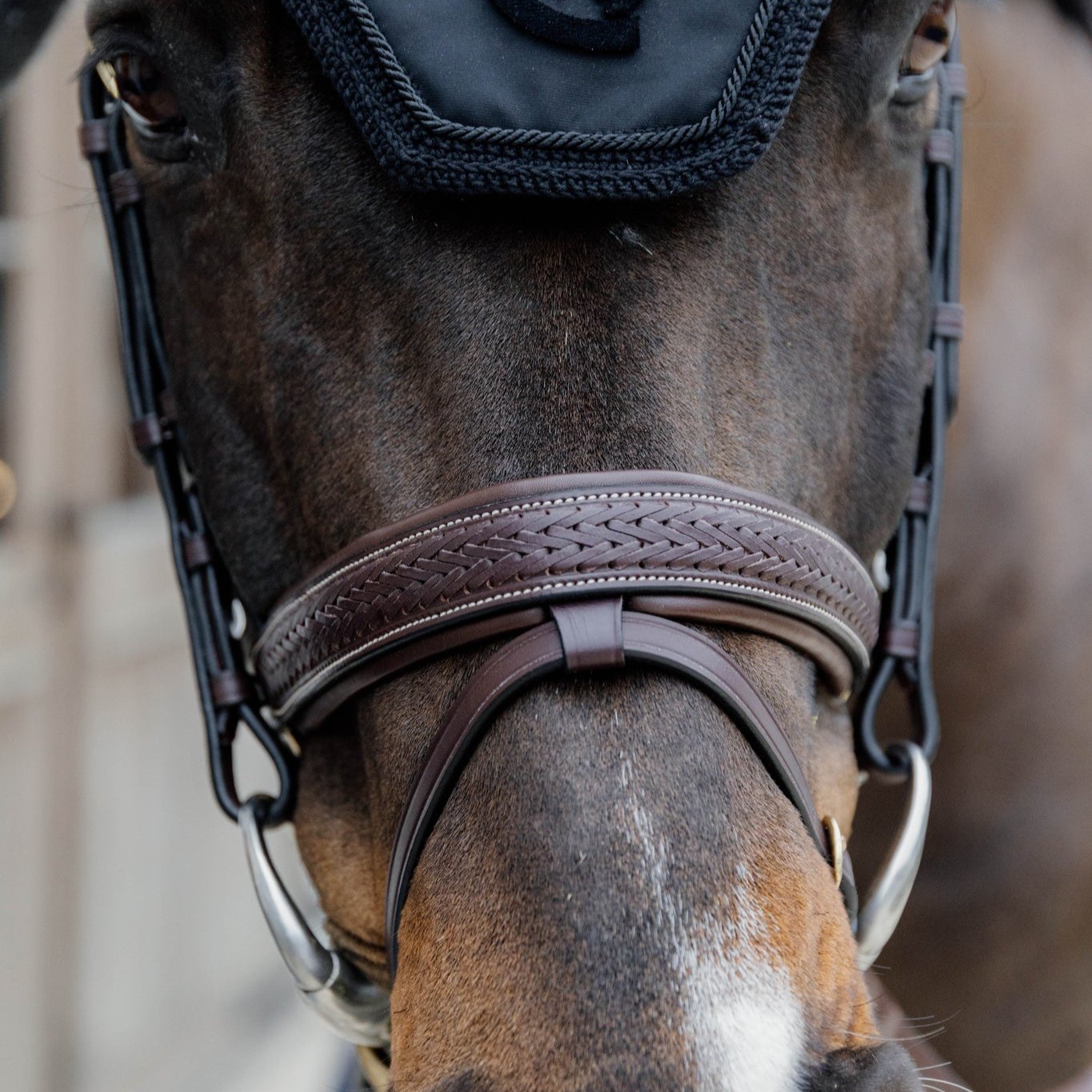 D Collection Plaited Flash Noseband Bridle with Pull Back