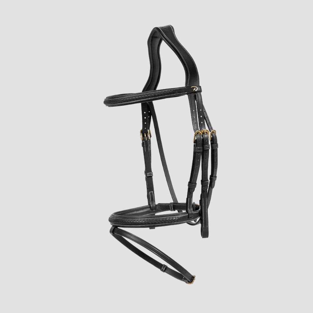 D Collection Plaited Flash Noseband Bridle