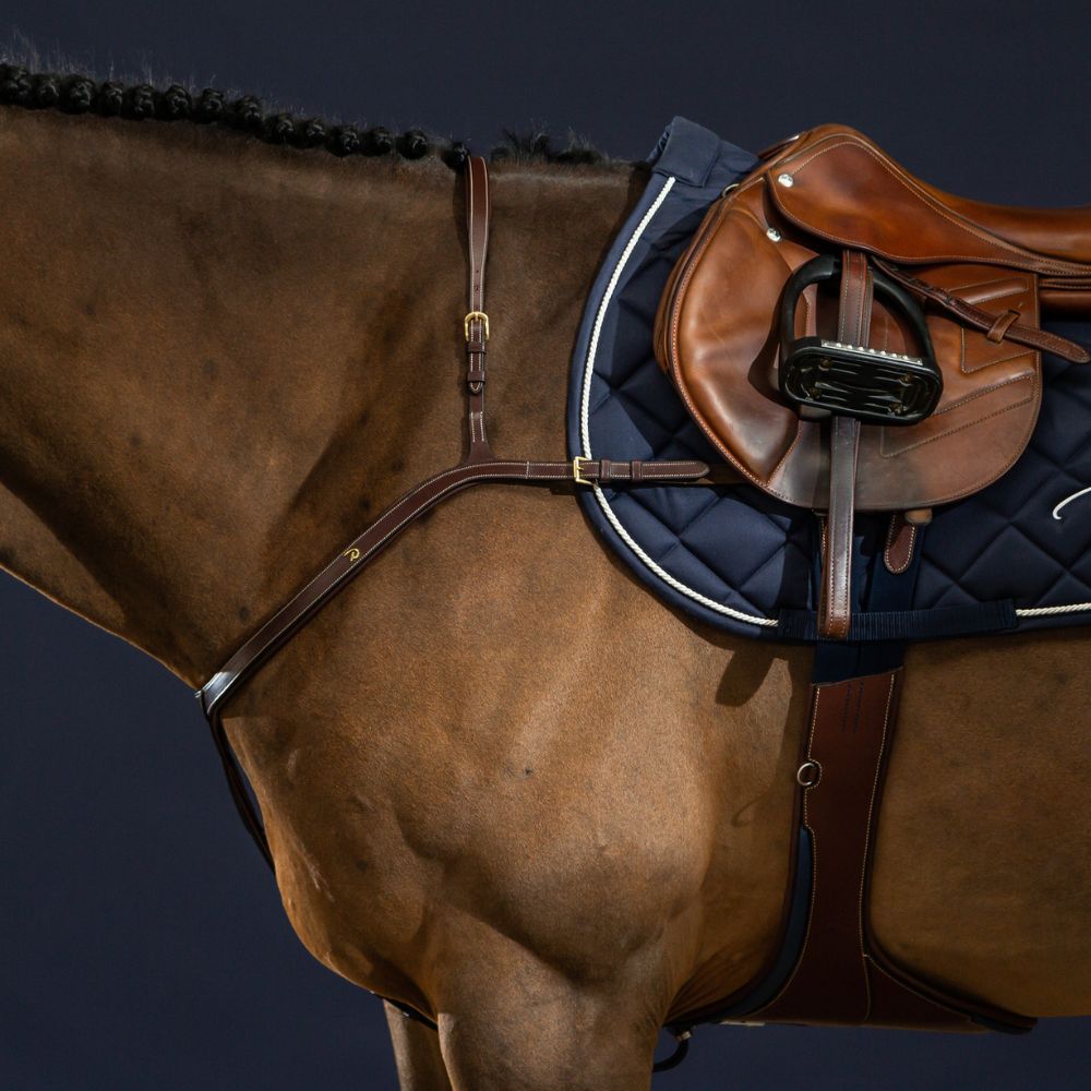 D Collection Long Bridge Breastplate