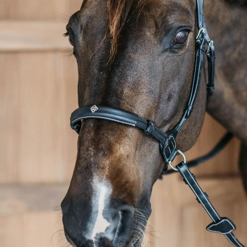 Working Collection Bitless Bridle