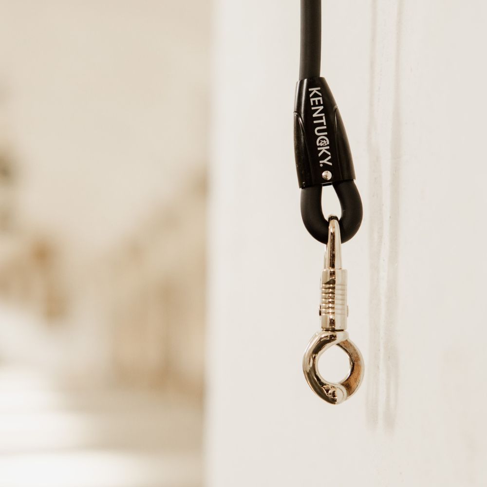 Silicone Horse Box Lead & Cross Ties | Black