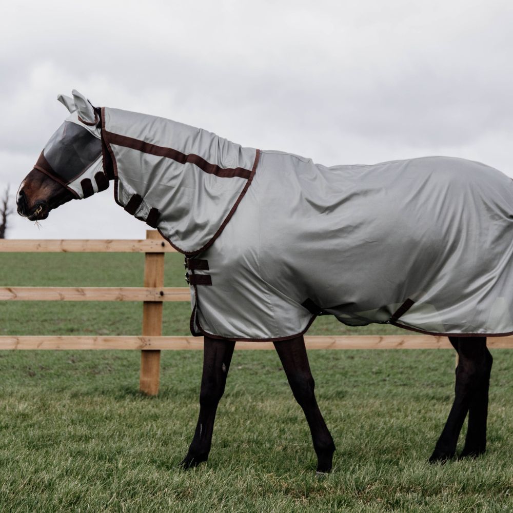 Mesh Fly Rug Classic With Neck